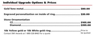 upgrade options and pricing